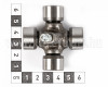 kardánkereszt 20x54,6mm, külső zégergyűrűs, japán kistraktorokhoz, 5 db-os csomag, SZUPER ÁRON! (3)